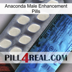 Anaconda Male Enhancement Pills 34